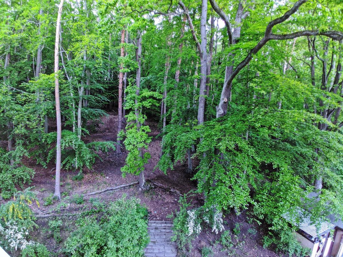 "Near The Forest" Apartment Sopot Esterno foto